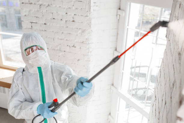 Best HVAC Mold Inspection and Cleaning  in Brownstown, PA