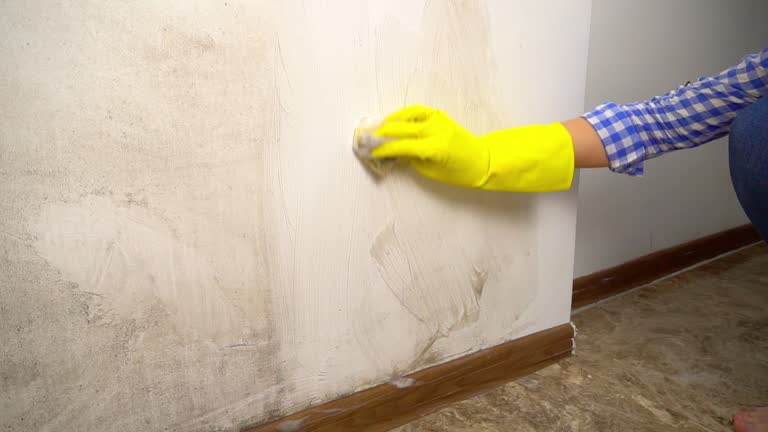 Best HVAC Mold Inspection and Cleaning  in Brownstown, PA